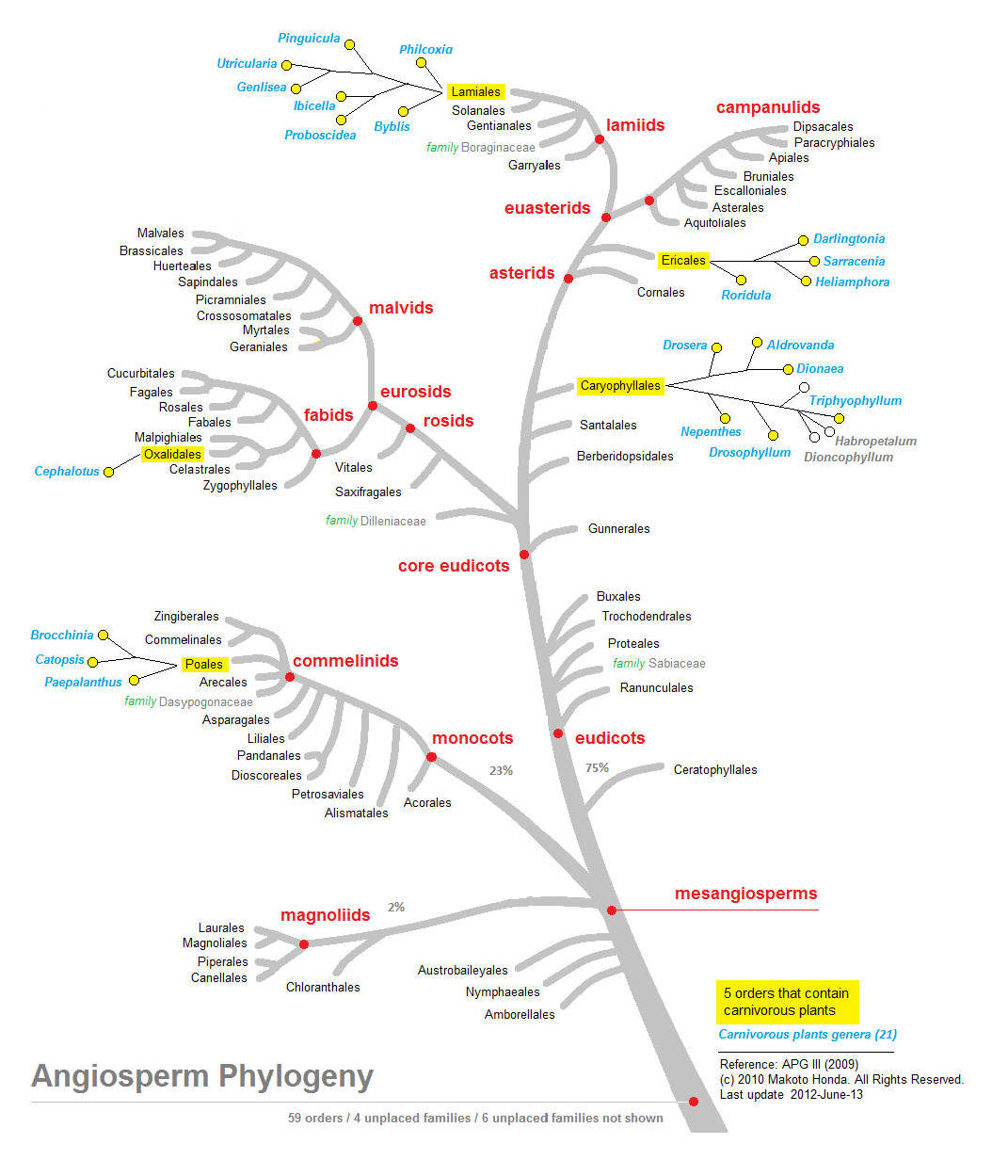 classification-carnivorous-plant-by-makoto-honda